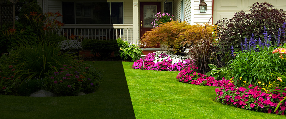 Evans Landscapers