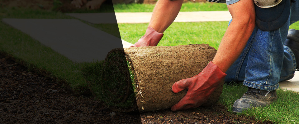 Evans Landscapers